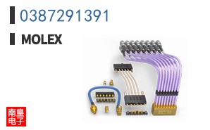 0387291391