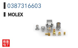 0387316603