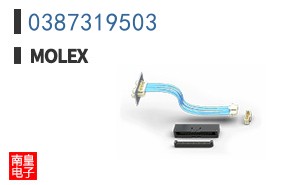 0387319503