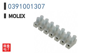 0391001307