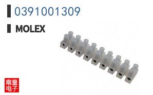 0391001309