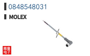 0848548031