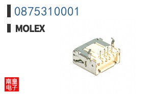 0875310001
