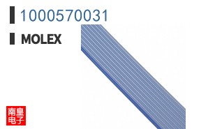 1000570031