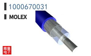 1000670031