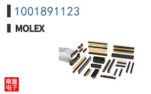 1001891123
