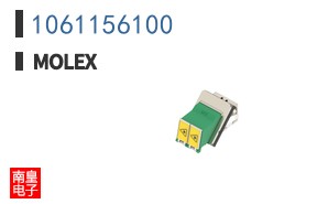 1061156100