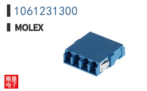 1061231300