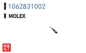 1062831002