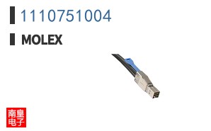 1110751004