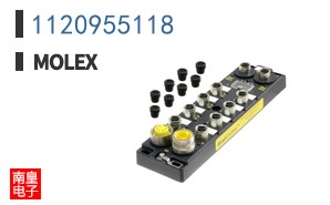 1120955118