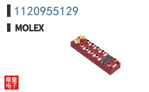 1120955129