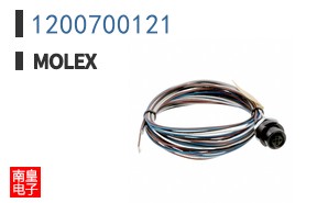 1200700121