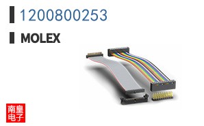 1200800253