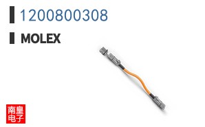 1200800308
