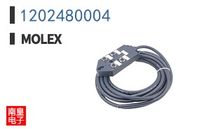 1202480004