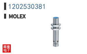 1202530381