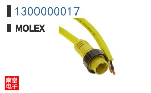1300000017