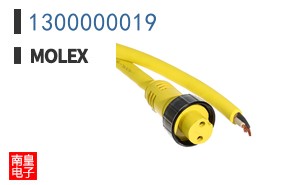 1300000019