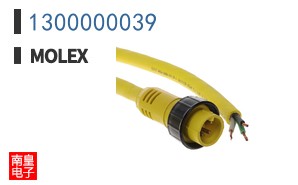1300000039