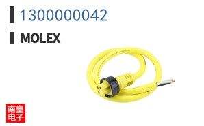 1300000042