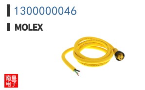 1300000046
