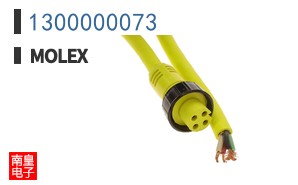 1300000073