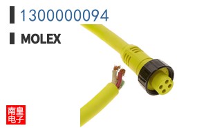 1300000094