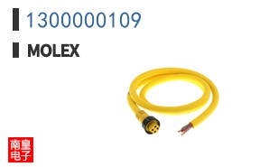 1300000109