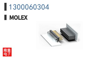 1300060304