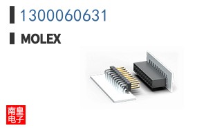 1300060631
