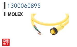 1300060895
