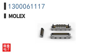 1300061117