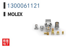 1300061121