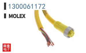 1300061172