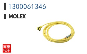 1300061346