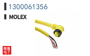 1300061356