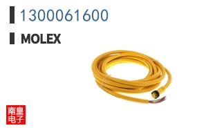 1300061600