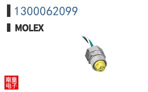 1300062099