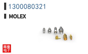 1300080321