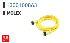 1300100863