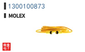 1300100873