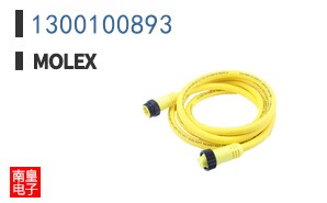 1300100893