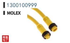 1300100999