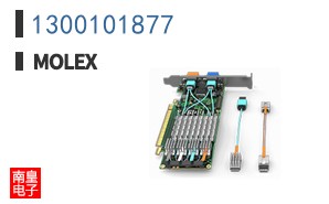 1300101877