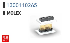 1300110265