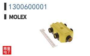 1300600001