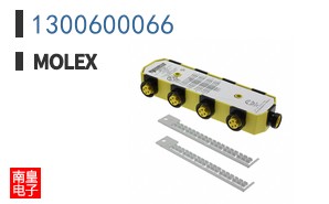 1300600066
