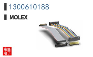 1300610188