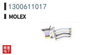 1300611017